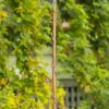 Birdhouse Garden Stake in Antique Copper and Varying Styles